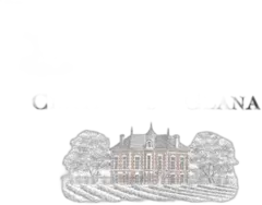 capture du vin du Glana Saint-Julien 2022