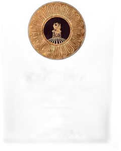 photo du vin Quintus Saint-Emilion Grand Cru 2011