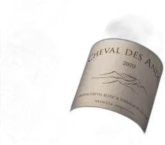photo du vin Cheval des Andes 2020 Argentine