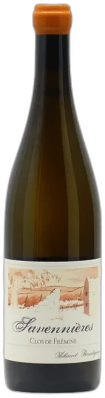 vue du vin Boudignon Thibaud Savennieres Clos Fremine