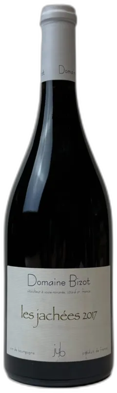 illustration du vin Domaine Jean Yves Bizot Vosne-Romanée les Jachees 2017