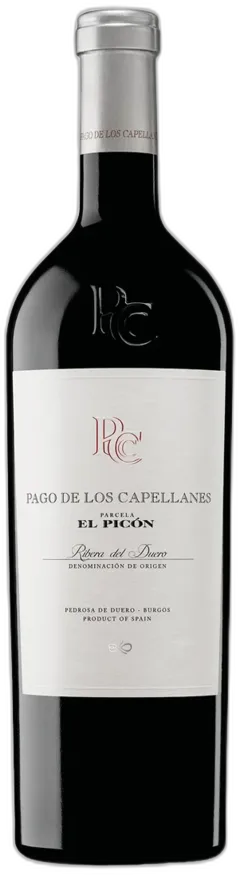 photo du vin Pago de Los Capellanes el Nogal