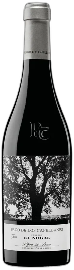 photo du vin Pago de Los Capellanes el Nogal