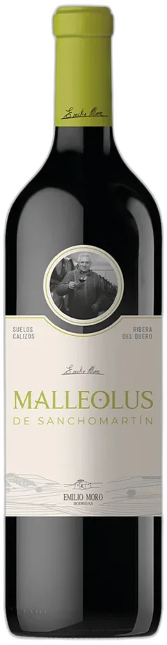 image du vin Emilio Moro Vendimia Seleccionada