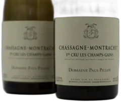 vue du vin les Champs Gains