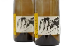 image du vin Vent d’Ange