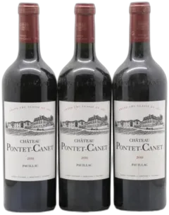 aperçu du vin Pontet Canet