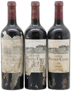 aperçu du vin Pontet Canet