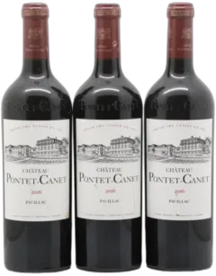 aperçu du vin Pontet Canet