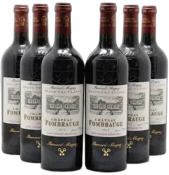 vue du vin Château Fombrauge