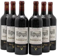 vue du vin Château Fombrauge