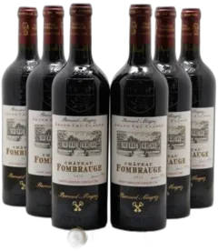 vue du vin Château Fombrauge