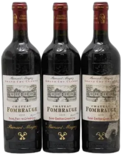 vue du vin Château Fombrauge