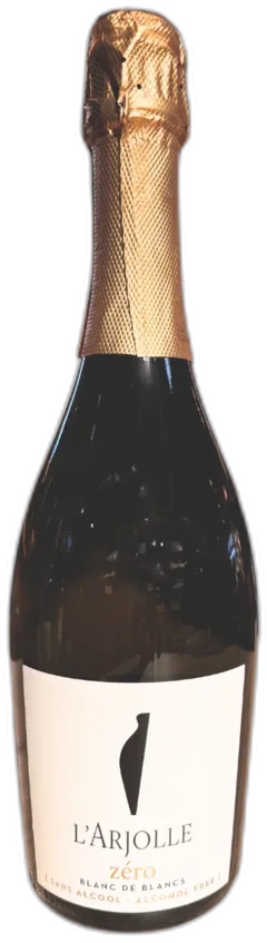 vue du vin Vin Mousseux Arjolle Blanc Sans Alcool les Rois Malts