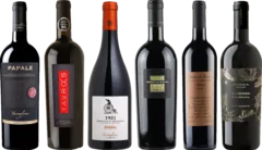 aperçu du vin de Dégustation Premium Primitivo