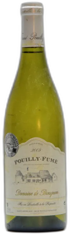 vue du vin 2009 Domaine de Breugnon, Pouilly Fumé