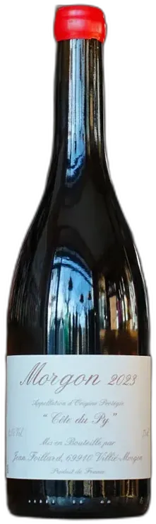 vue du vin Morgon Côte du py Jean Foillard