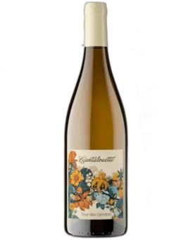 vue du vin Cantalouette Blanc Château Tour des Gendres