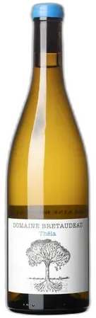 vue du vin Bretaudeau Théia