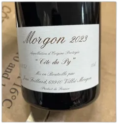 vue du vin Domaine Foillard Morgon Côte du py Magnum