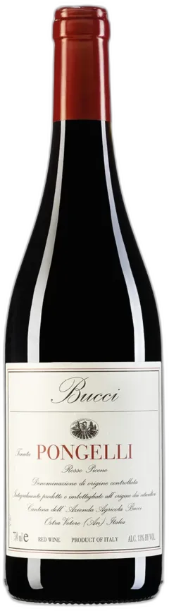 vue du vin Rosso Piceno Doc Tenuta Pongelli Villa Bucci 2022