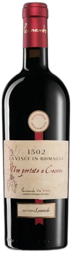 vue du vin Romagna Doc Sangiovese Appassimento Uve Portate a Cesena Leonardo da Vinci 2023