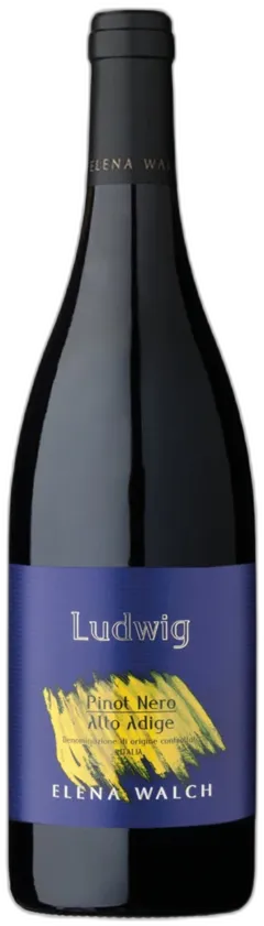 image du vin Südtirol Alto Adige Doc Lagrein Riserva Vigna Castel Ringberg Elena Walch 2023