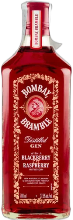 photo du vin Gin Bombay Bramble