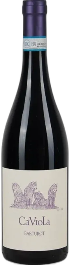 vue du vin Dolcetto d'Alba Doc Barturot ca' Viola 2023