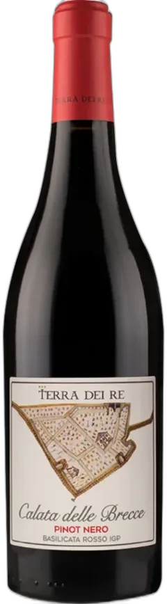 photo du vin Pinot Nero Igp Calata Delle Brecce Terra Dei re
