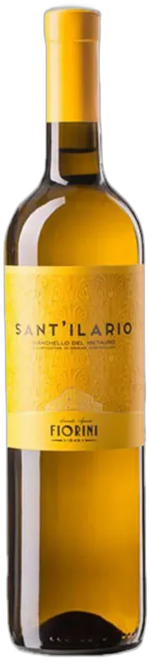 vue du vin Bianchello Del Metauro Doc Bio Sant’Ilario Fiorini