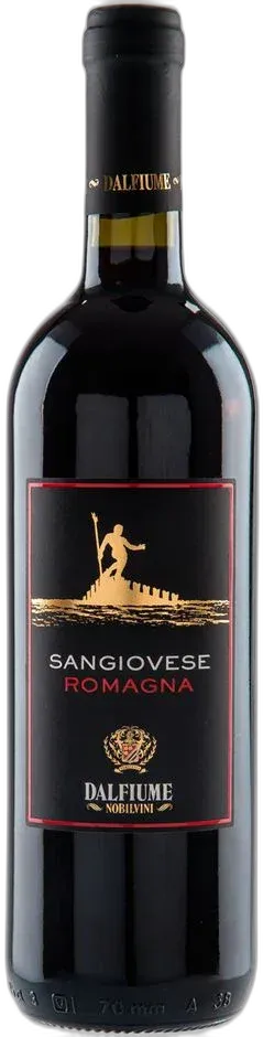 vue du vin Romagna Sangiovese Doc Dal Fiume