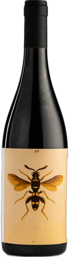 photo du vin Romagne Doc Sangiovese Predappio Bio Sangiovese Noelia Ricci