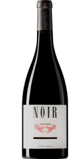 vue du vin Pinot Nero Oltrepò Pavese Doc Noir Mazzolino