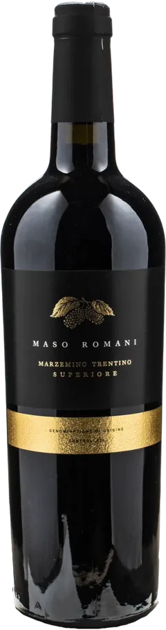 photo du vin Trentino Superiore Doc Rosso Quattro Vicariati Cavit 2021