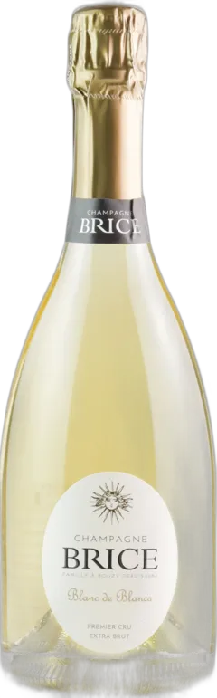 image du vin 1er Cru Blanc de Blancs Extra Brut