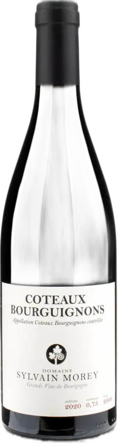 photo du vin Domaine Sylvain Morey Coteaux Bourguignons Rouge