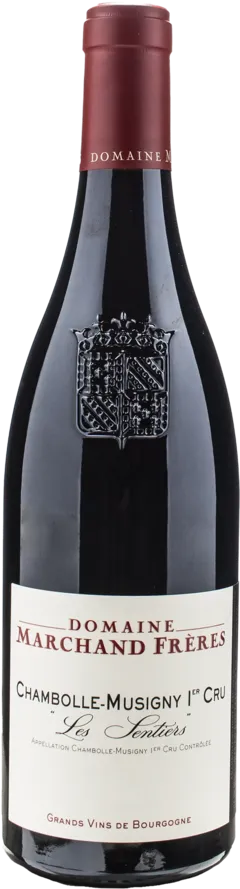 illustration du vin Marchand Freres Chambolle Musigny 1er Cru les Sentiers 2022