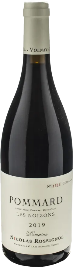 vue du vin Nicolas Rossignol Pommard Noizons 2019