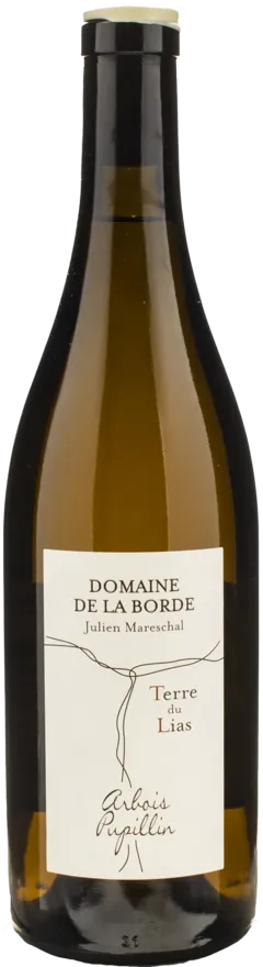 illustration du vin Chardonnay Terre du Lias