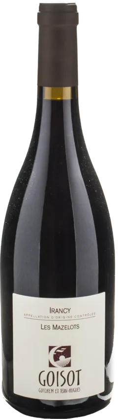 vue du vin Guilhem et Jean Hugues Goisot Irancy les Mazelot 2021