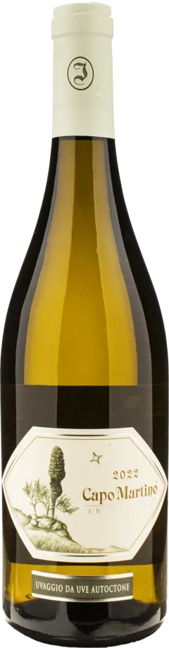 image du vin Venezia Giulia Igt “Capo Martino” 2022 Jermann