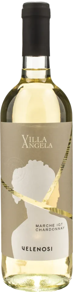 illustration du vin Velenosi Chardonnay Villa Angela 2024