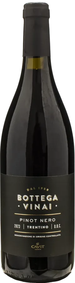 photo du vin Trentino Superiore Doc Rosso Quattro Vicariati Cavit 2021