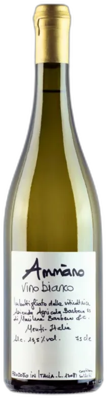 illustration du vin Cantine Barbera Vino da Tavola Bianco Ammano 10