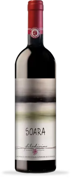 vue du vin Filodivino 2018 Lacrima di Morro d Alba Doc Sup. Soara