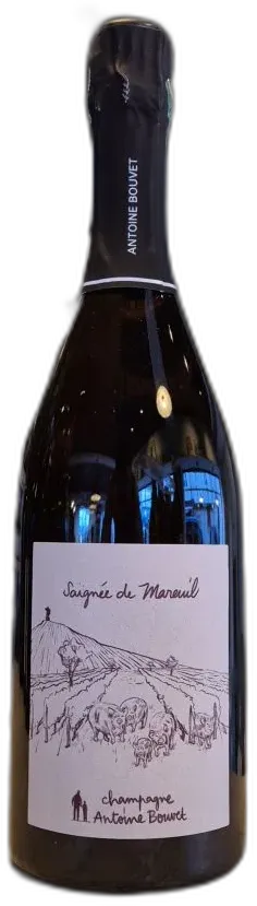 image du vin Saignée de Mareuil 2018 Antoine Bouvet