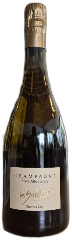 image du vin Santenay Rouge Clos des Hâtes 2023 Domaine Hubert Lamy