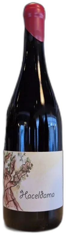 photo du vin Haceldama 2023 Simon Bousquet