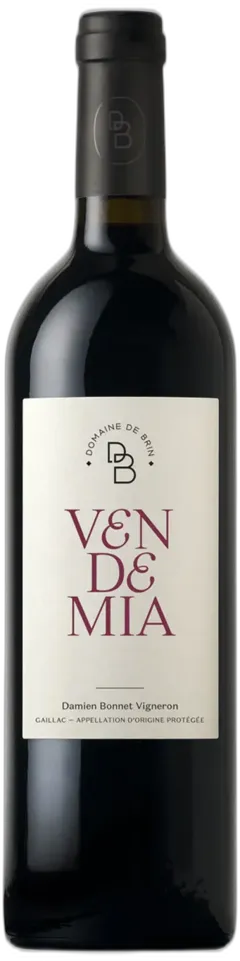 photo du vin Vendemia 2022